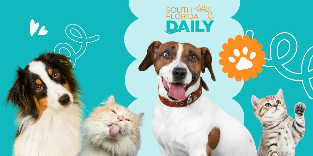 Cutest Pet Contest - WFLX