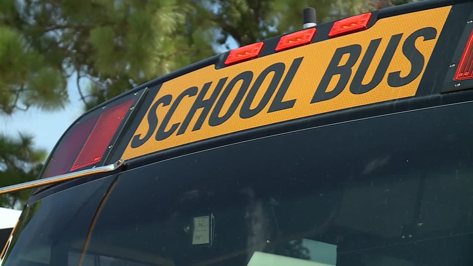 Palm Beach County school bus driver sustains minor injury after crash ...