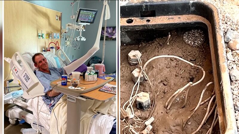 Tommy Niebrzydowski went in to check the water valve, and that was when the rattlesnake bit...