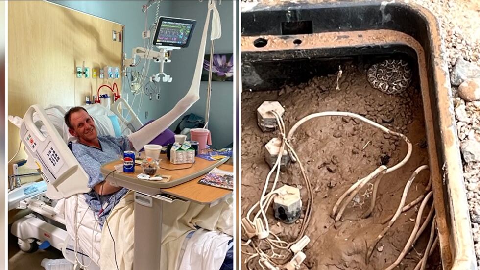 Tommy Niebrzydowski went in to check the water valve, and that was when the rattlesnake bit...