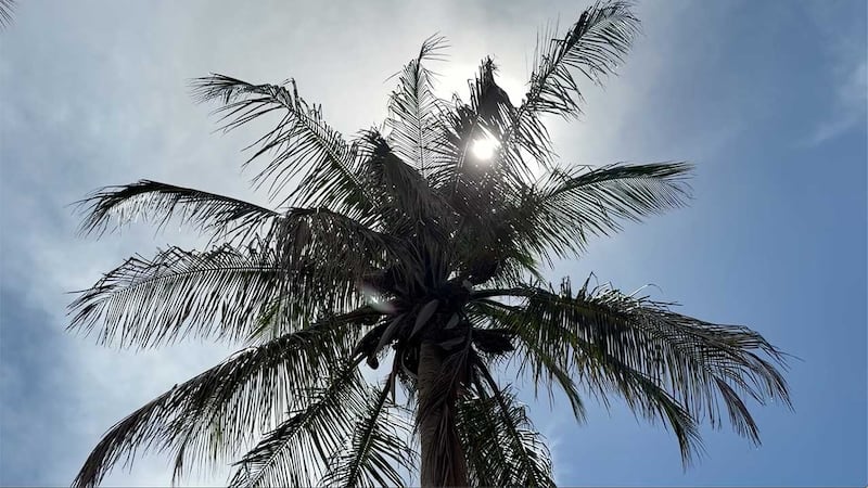 How to save money on your electric bill as Florida summer heats up