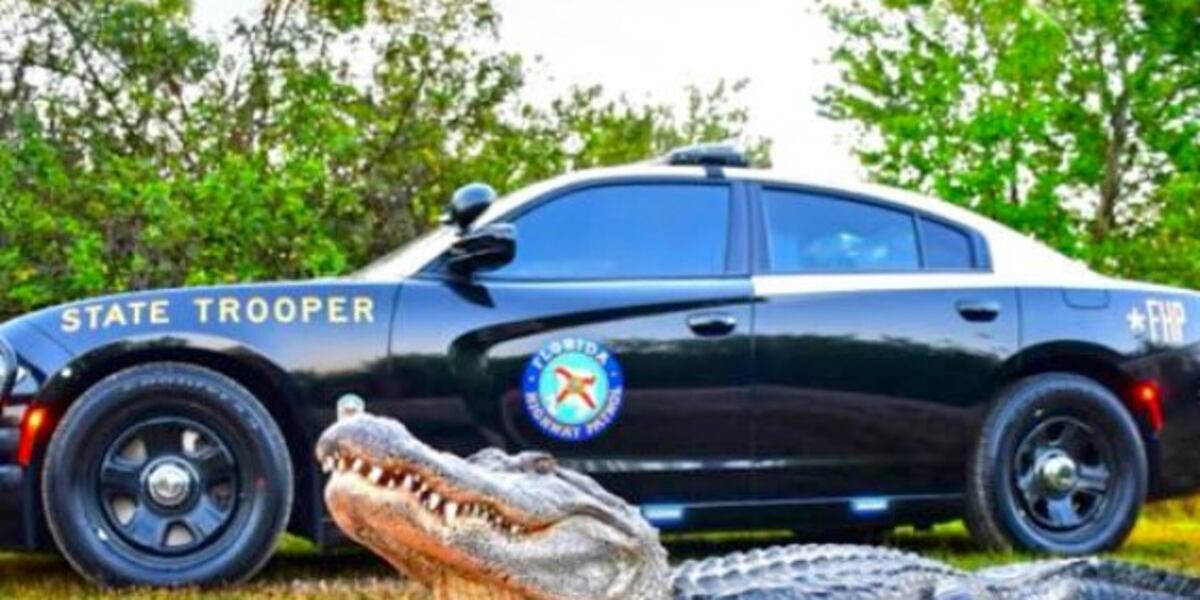 FHP taking bite out of competition in ‘Best Looking Cruiser’ contest