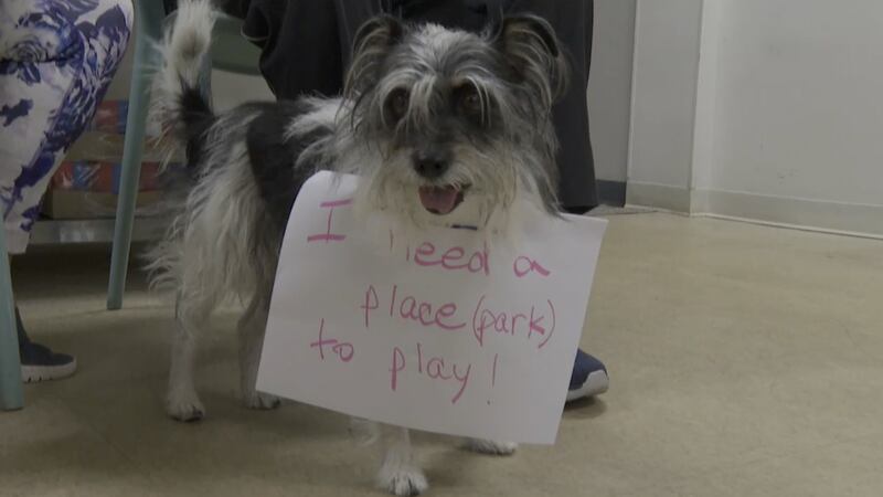Palm Beach County dog park on Hypoluxo Road targeted for February 2028 completion
