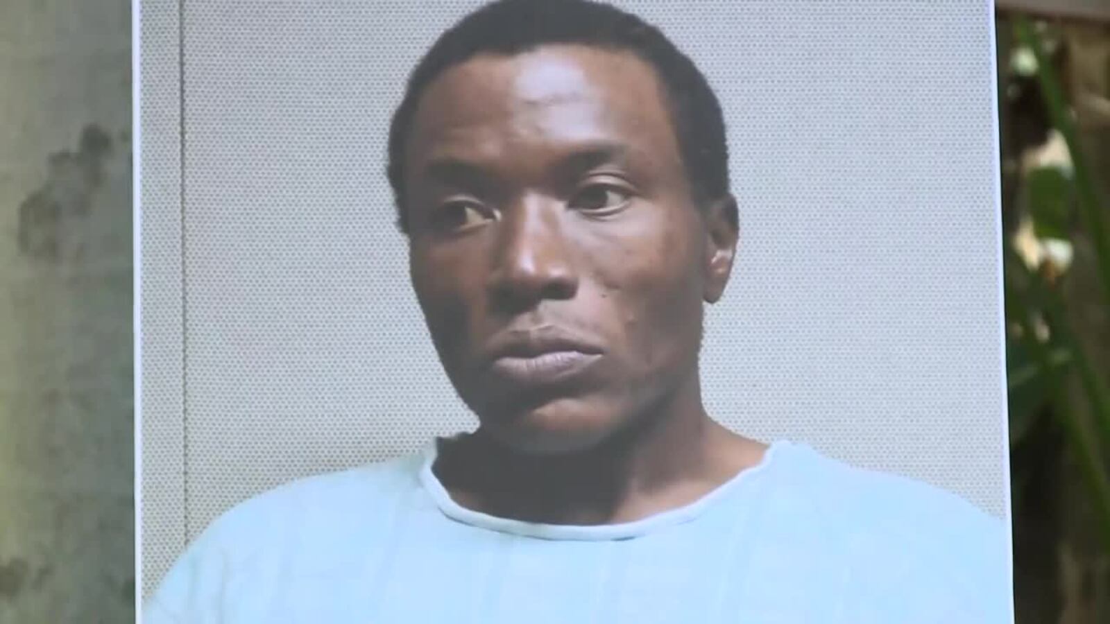 Jury selection begins for Semmie Williams, accused of killing Palm ...