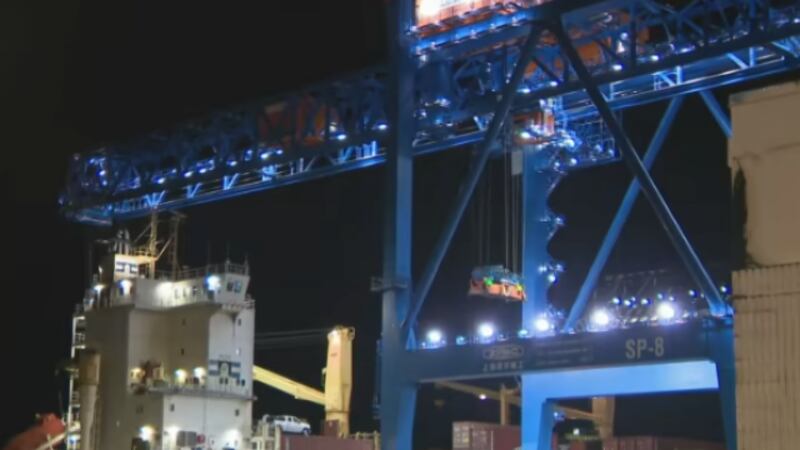 Witnesses say man found dead at Port Everglades struck by shipping ...