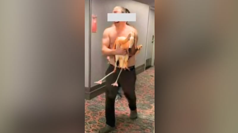 Police identified the suspect as Mitchell Fairbarn, 33, of Ontario, Canada.