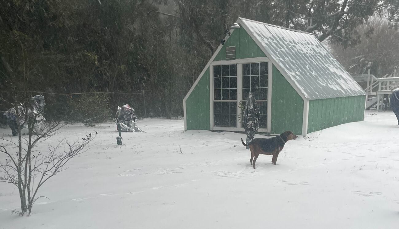 SNOW IN FLORIDA: Winter storm sweeps across Panhandle