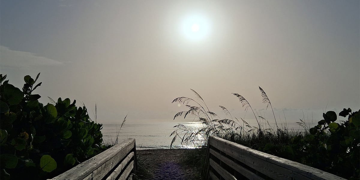 How to keep your lungs healthy How to keep your lungs healthy