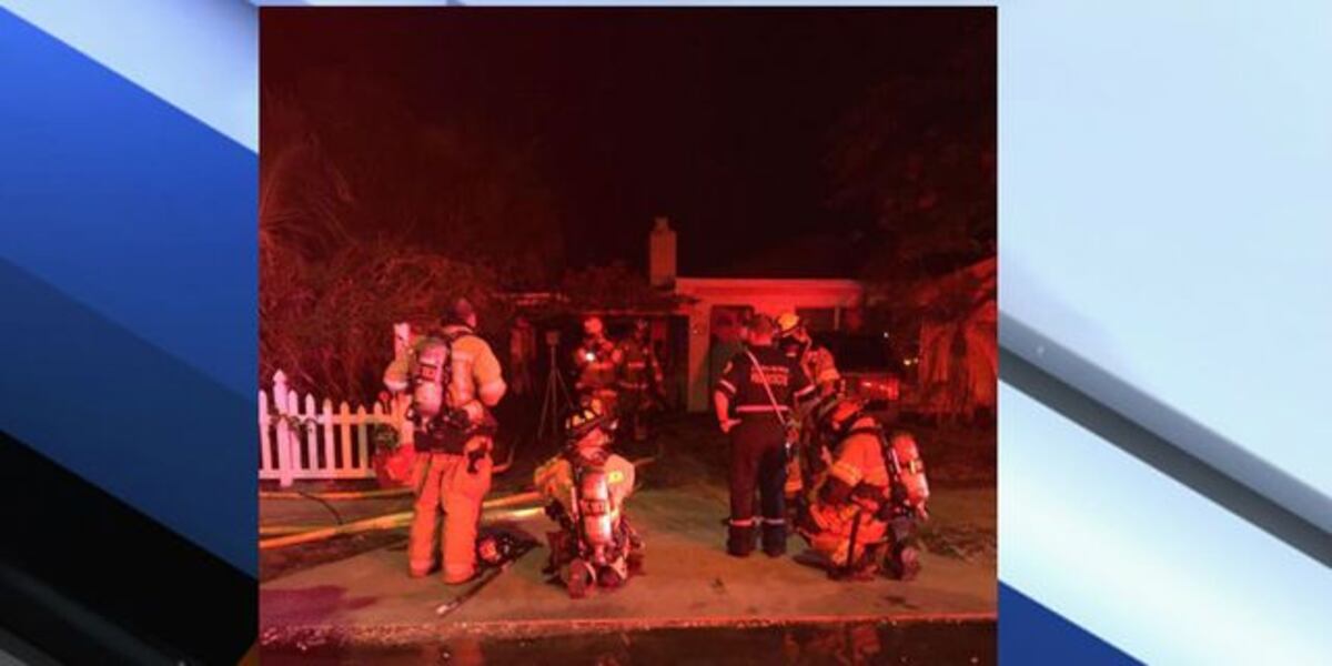 Twitter Delray Fire Rescue Delray firefighters rescue dog in kitchen fire