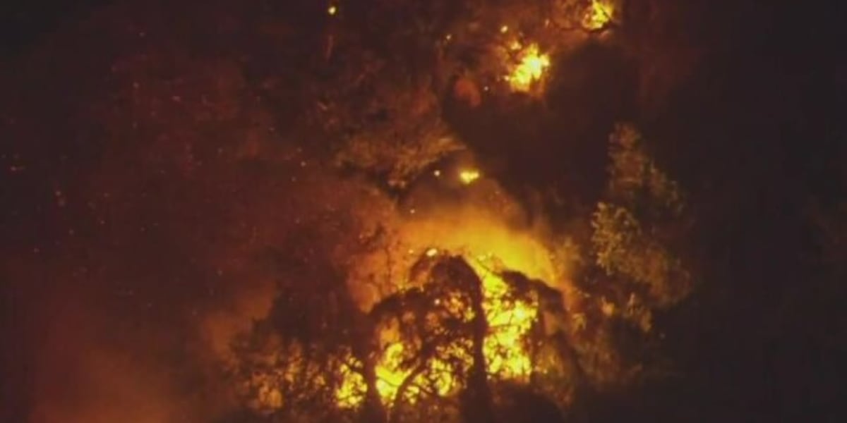 Fire Scene Boca Raton Brush fire breaks out behind Costco in Boca Raton