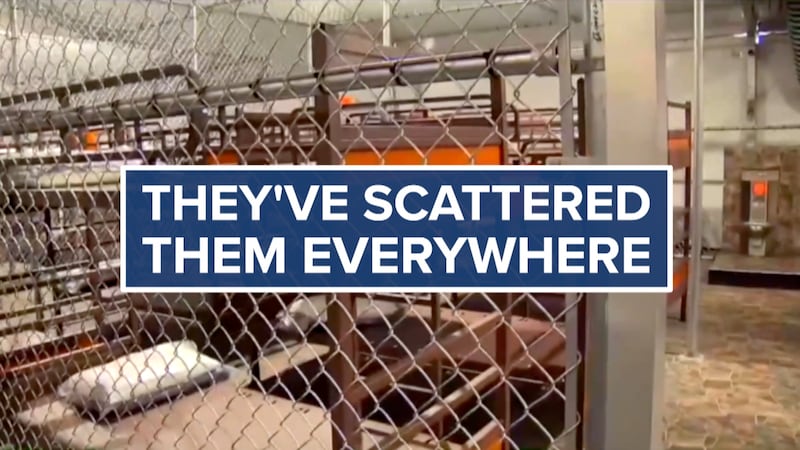 After Alligator Alcatraz closes, detainees scattered across the U.S. as legal battles continue
