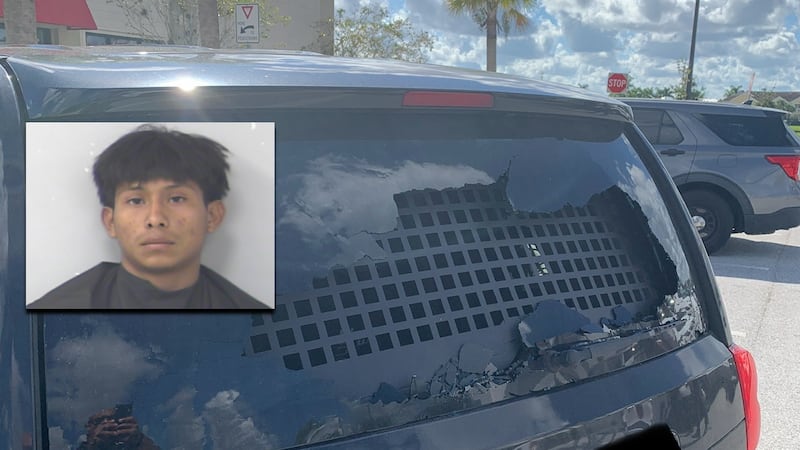 Nineteen Year Old Suspect Hurls Massive Rock at ICE Vehicle Stoking Controversy