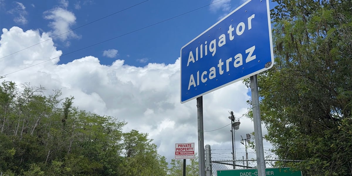 Investigation into South Florida immigration enforcement operations