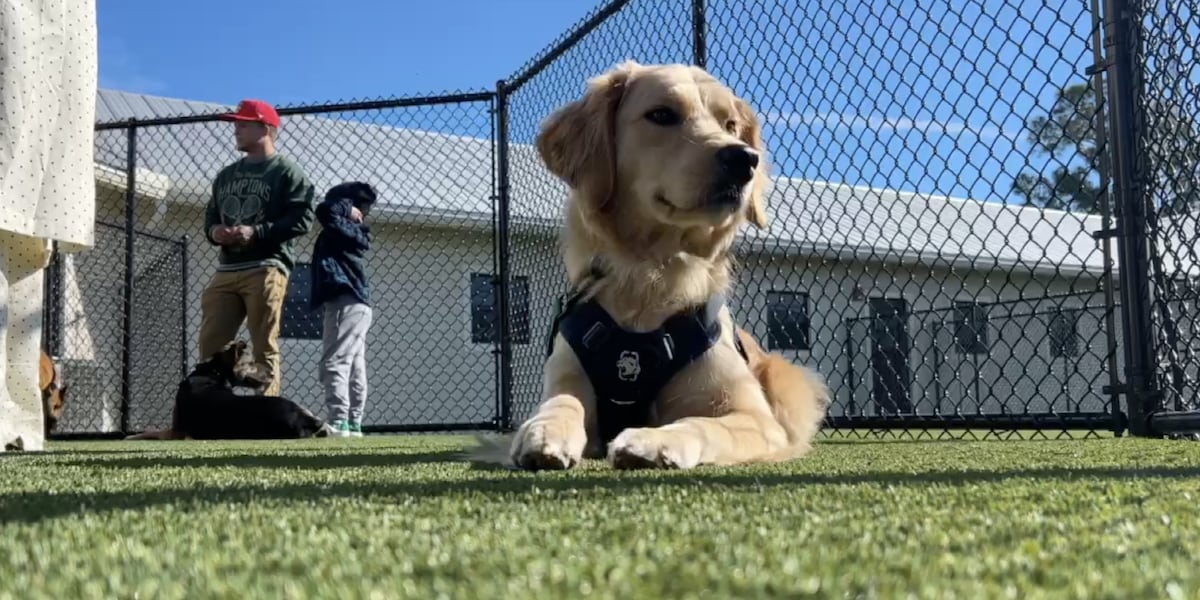Big Dog Ranch Rescue opens massive facility to triple veteran service ...